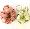 Air Plant Xerographica Red & Green 2PK 4"-6"